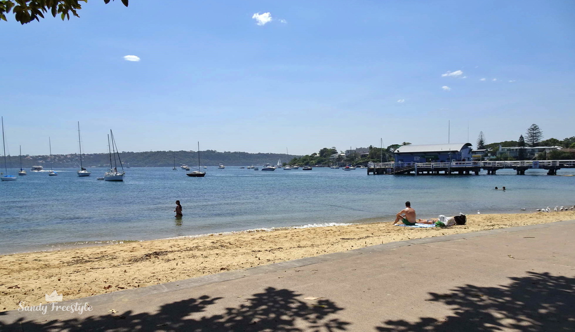 Watson Bay Sydney 10 กิจกรรมที่ท่องเที่ยวใน ซิดนีย์